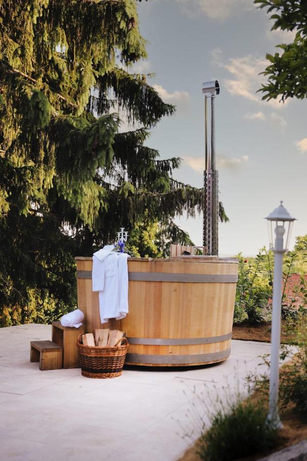 Vila Vilma Vineyard Cottage Lendava Exterior photo