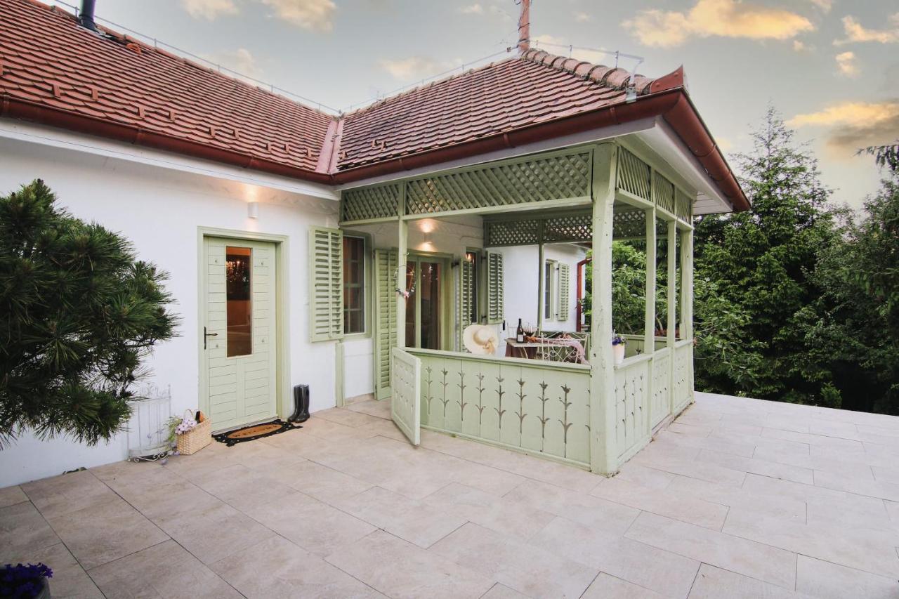 Vila Vilma Vineyard Cottage Lendava Exterior photo
